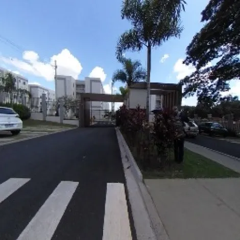 Sao Carlos Vila Boa Vista 1 Apartamento Locacao R$ 1.334,00 Condominio R$250,00 2 Dormitorios 1 Vaga 