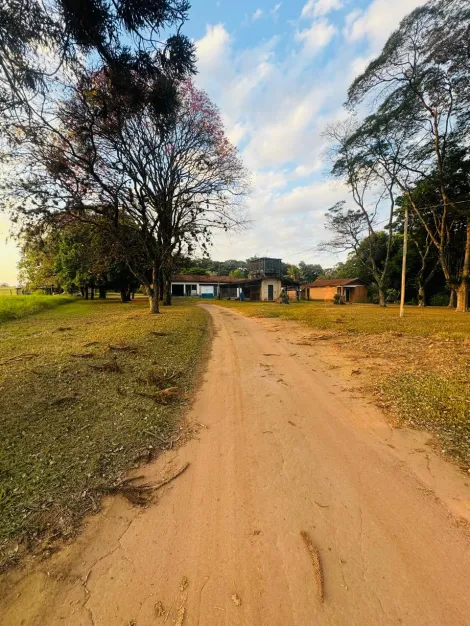 Sao Carlos Area Rural de Sao Carlos Rural Venda R$3.000.000,00 