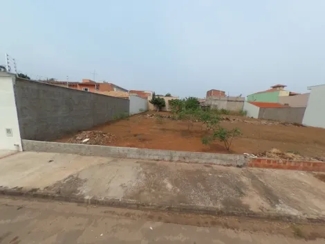 Sao Carlos Jardim Embare Terreno Venda R$170.000,00  Area do terreno 290.00m2 