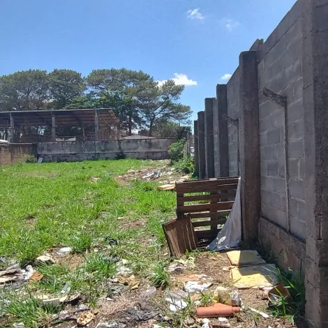 Sao Carlos Vila Izabel Comercial Venda R$1.510.000,00  Area do terreno 840.00m2 