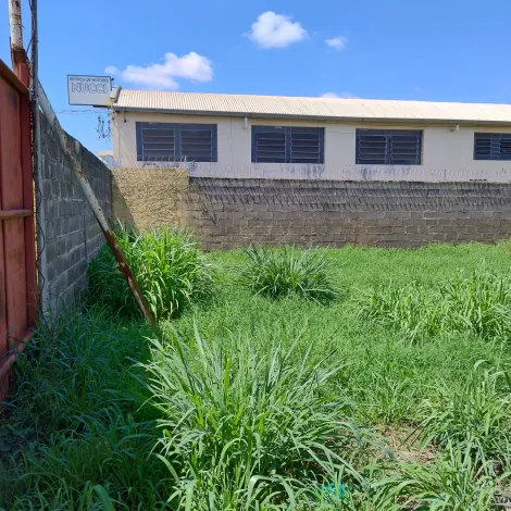 Sao Carlos Vila Marcelino Comercial Venda R$2.120.000,00  Area do terreno 1000.00m2 