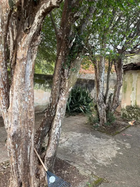 Sao Carlos Centro Terreno Venda R$1.850.000,00  Area do terreno 1316.00m2 