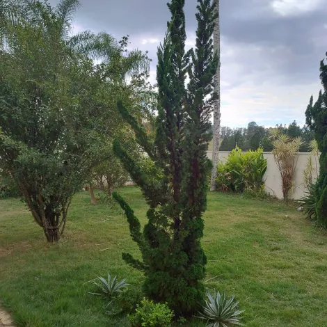 Sao Carlos Jardim Cardinalli Casa Venda R$1.600.000,00 5 Dormitorios 6 Vagas Area do terreno 612.00m2 