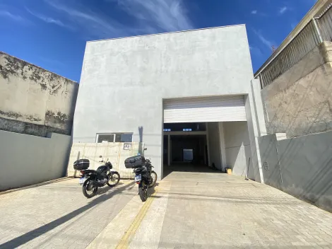 Sao Carlos Vila Marcelino Comercial Locacao R$ 10.000,00  4 Vagas Area do terreno 587.00m2 Area construida 340.00m2