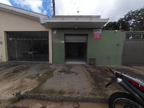 Sao Carlos Parque Santa Felicia Jardim Salao Locacao R$ 1.000,00 Area construida 32.00m2