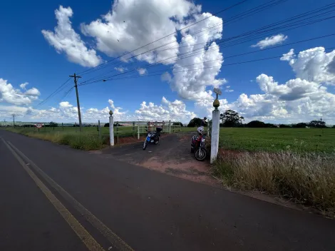 Sao Carlos Sitio Sao Jose Rural Locacao R$ 11.112,00 3 Dormitorios 30 Vagas Area construida 500.00m2