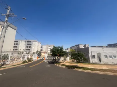 Sao Carlos Jardim Jockei Club A Apartamento Locacao R$ 1.400,00 Condominio R$340,00 2 Dormitorios 1 Vaga 