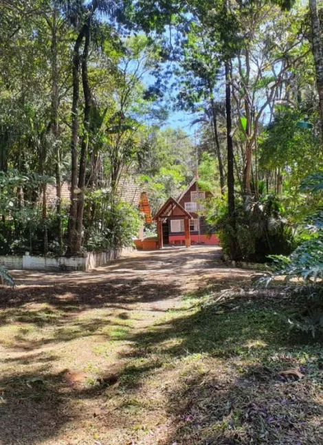 Sao Carlos Centro Rural Venda R$3.300.000,00 9 Dormitorios 40 Vagas Area construida 293.81m2
