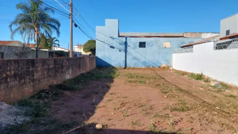 Sao Carlos Vila Sao Jose Terreno Venda R$125.000,00  Area do terreno 125.00m2 