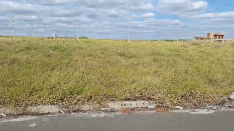 Sao Carlos Jardim Ipanema Terreno Venda R$167.000,00  Area do terreno 242.00m2 