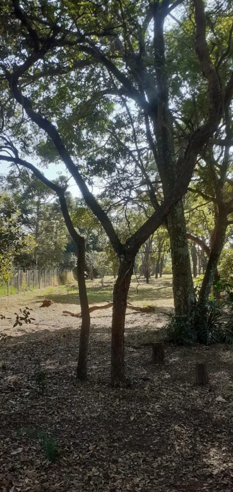 Sao Carlos Tibaia de Sao Fernando Terreno Venda R$600.000,00 