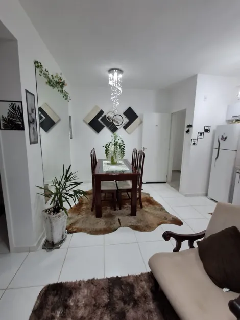 Sao Carlos Recreio Sao Judas Tadeu Apartamento Locacao R$ 2.556,00 2 Dormitorios 1 Vaga 
