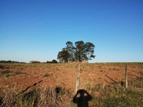 Sao Carlos Area Rural de Sao Carlos Rural Venda R$1.000.000,00 
