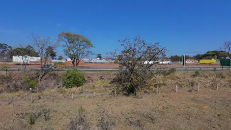 Sao Carlos Sem Bairro Terreno Locacao R$ 2.445,00 