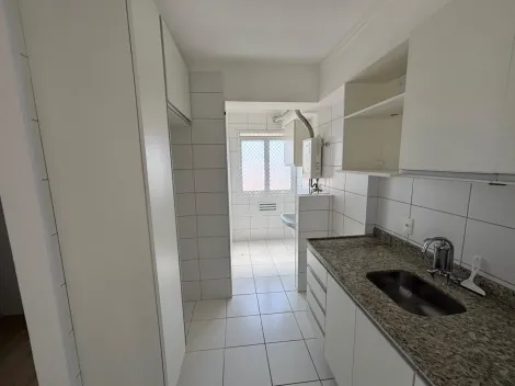 Campinas Jardim Nova Europa Apartamento Locacao R$ 2.500,00 Condominio R$480,00 2 Dormitorios 1 Vaga 