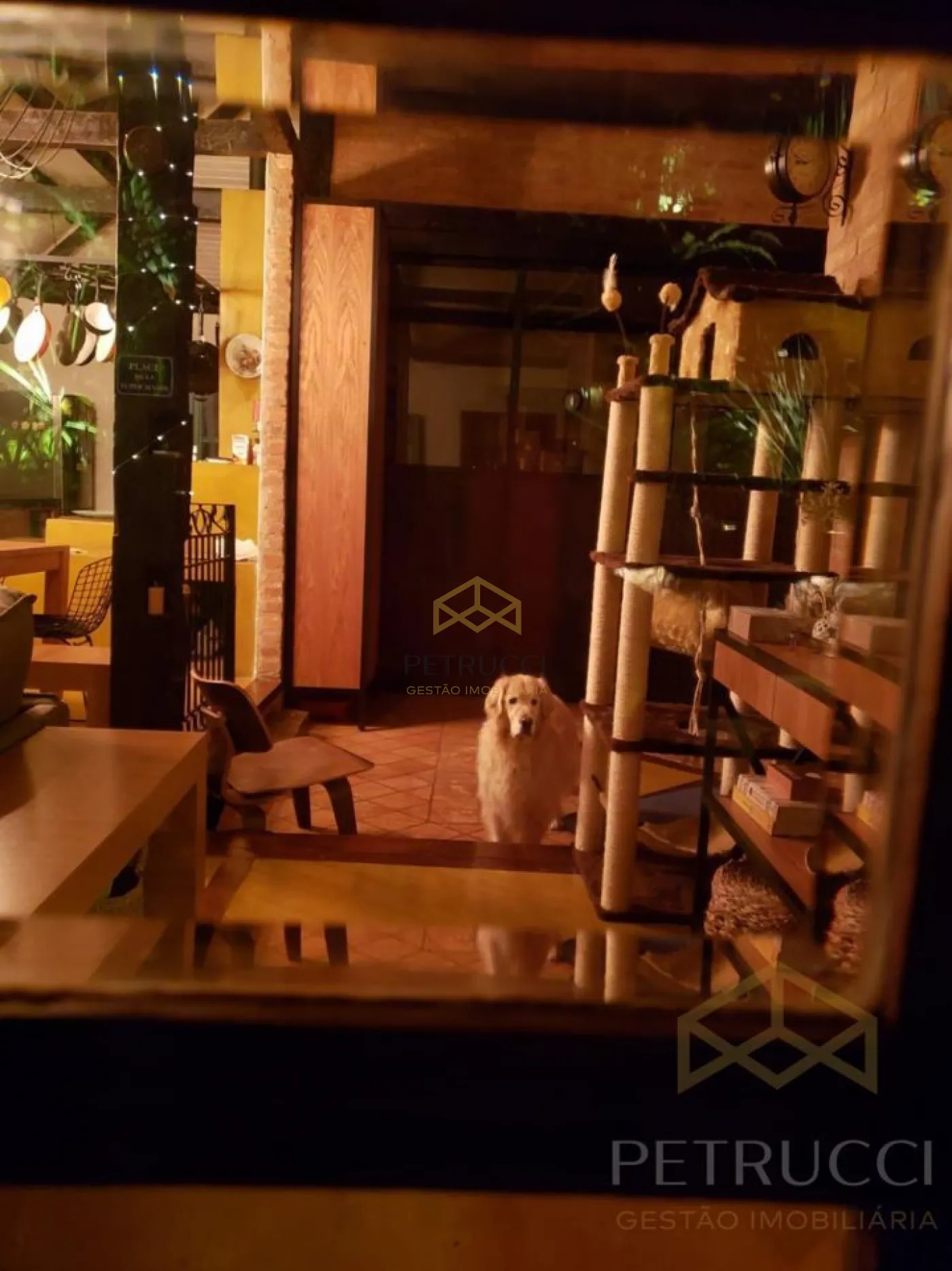 Comprar Casa / Sobrado em Condom&iacute;nio em Campinas R$ 1.990.000,00 - Foto 8