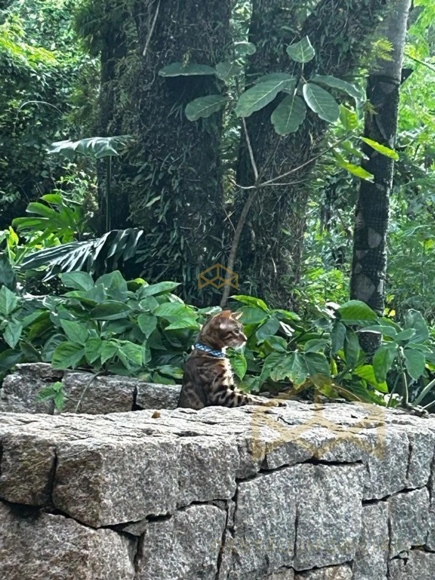 Comprar Casa / Sobrado em Condom&iacute;nio em Campinas R$ 1.990.000,00 - Foto 15
