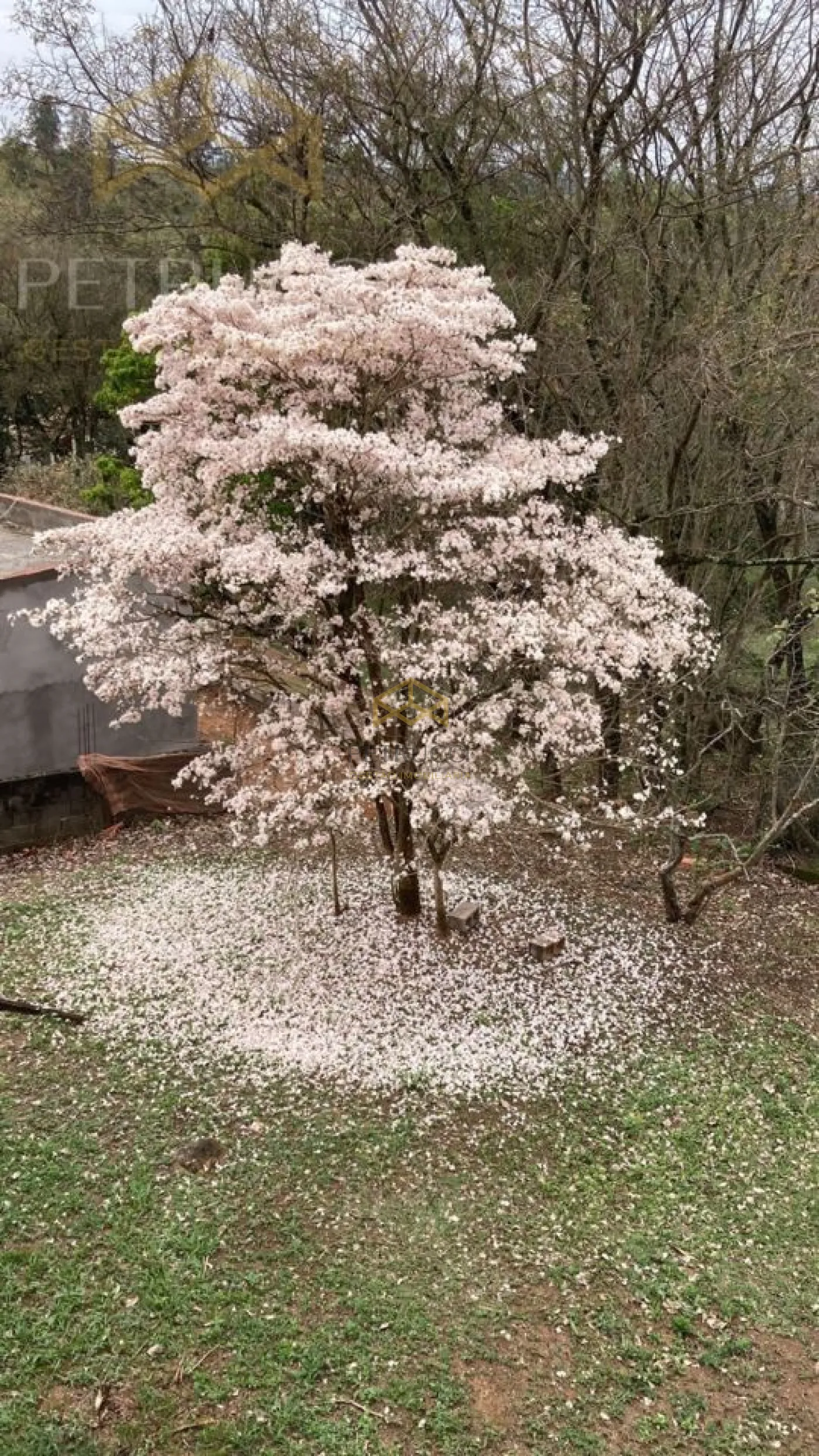 Comprar Casa / Sobrado em Condom&iacute;nio em Campinas R$ 1.700.000,00 - Foto 17