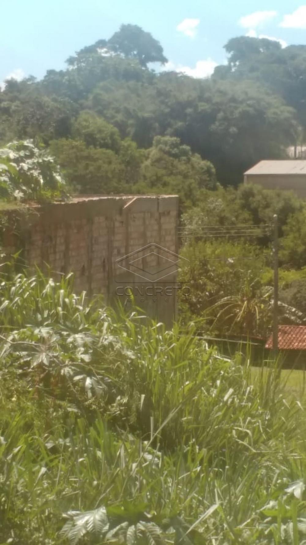 Comprar Terreno / Padr&atilde;o em Bauru R$ 70.000,00 - Foto 5