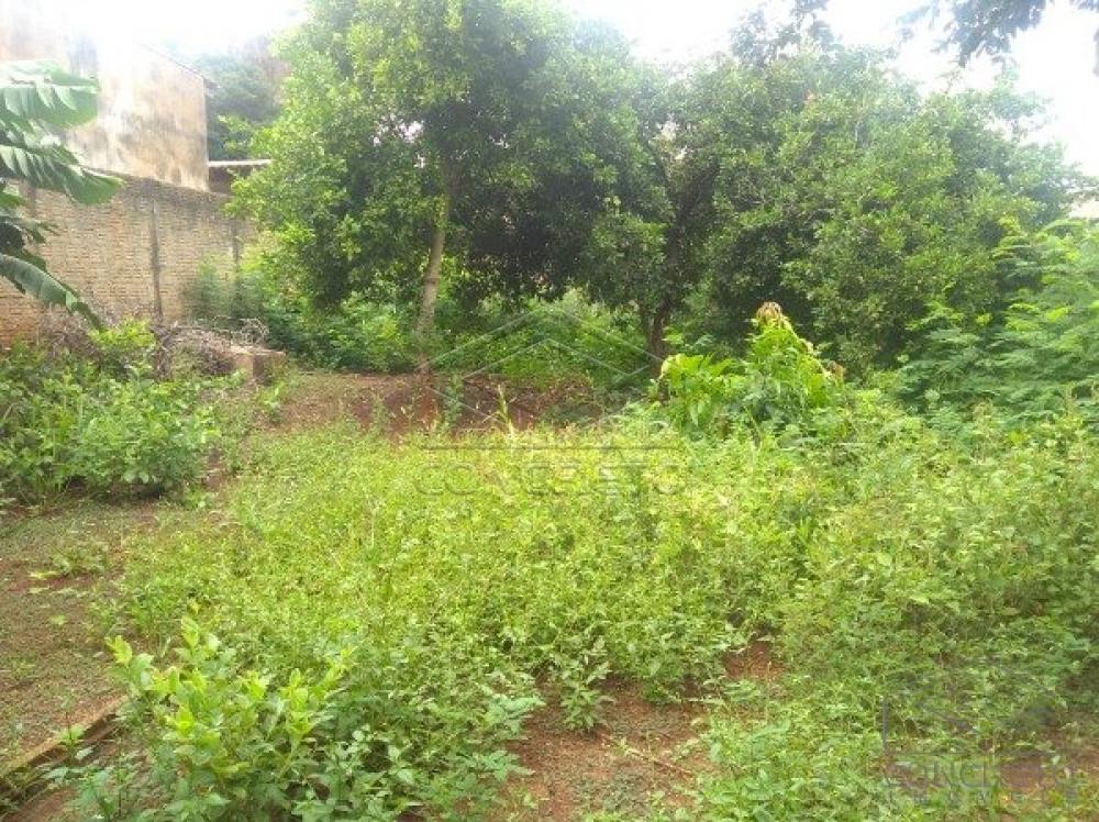 Comprar Casa / Padr&atilde;o em Len&ccedil;&oacute;is Paulista R$ 190.000,00 - Foto 9