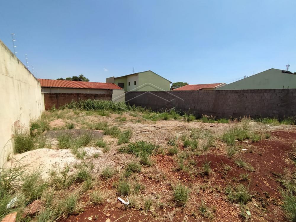 Comprar Terreno / &Aacute;rea em Ja&uacute; R$ 270.000,00 - Foto 2