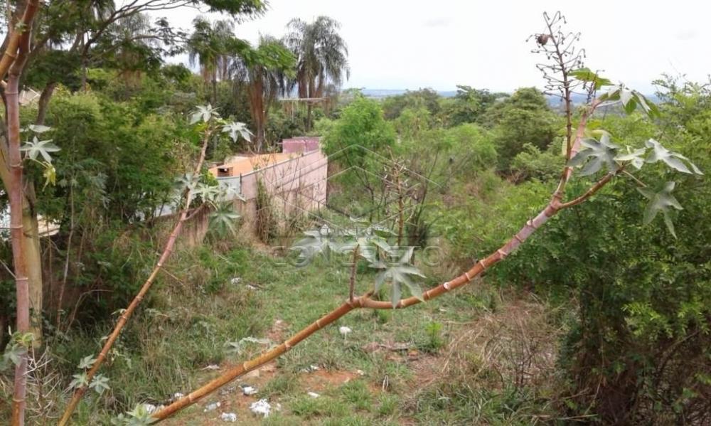 Comprar Terreno / Padr&atilde;o em Bauru R$ 300.000,00 - Foto 3