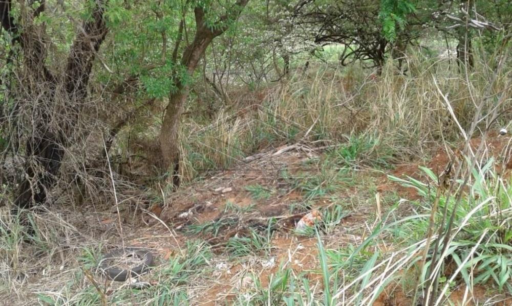 Comprar Terreno / Padr&atilde;o em Bauru R$ 300.000,00 - Foto 5