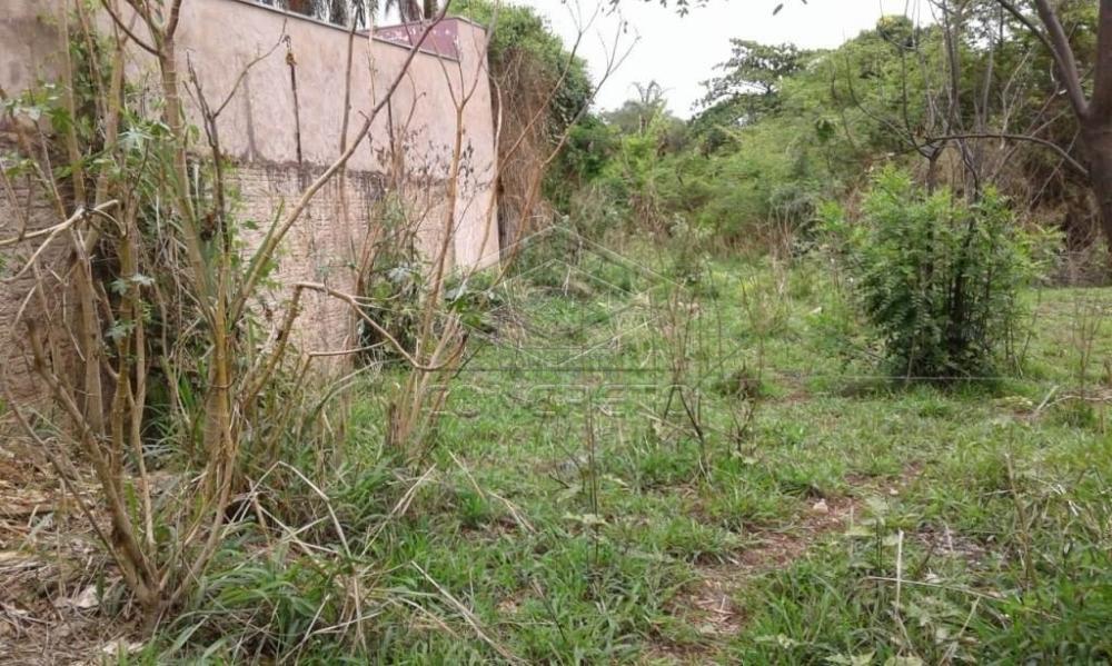 Comprar Terreno / Padr&atilde;o em Bauru R$ 300.000,00 - Foto 6