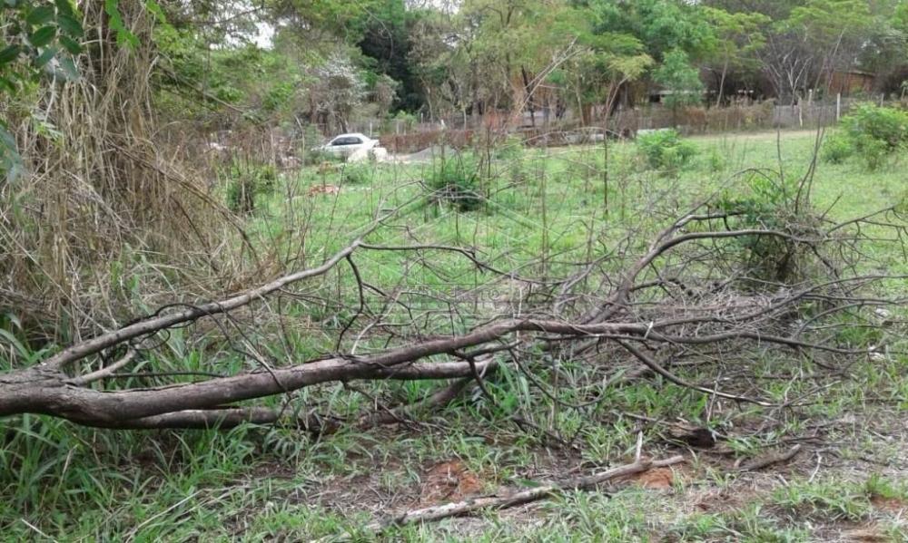 Comprar Terreno / Padr&atilde;o em Bauru R$ 300.000,00 - Foto 7