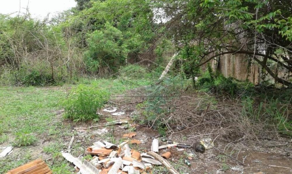 Comprar Terreno / Padr&atilde;o em Bauru R$ 300.000,00 - Foto 11