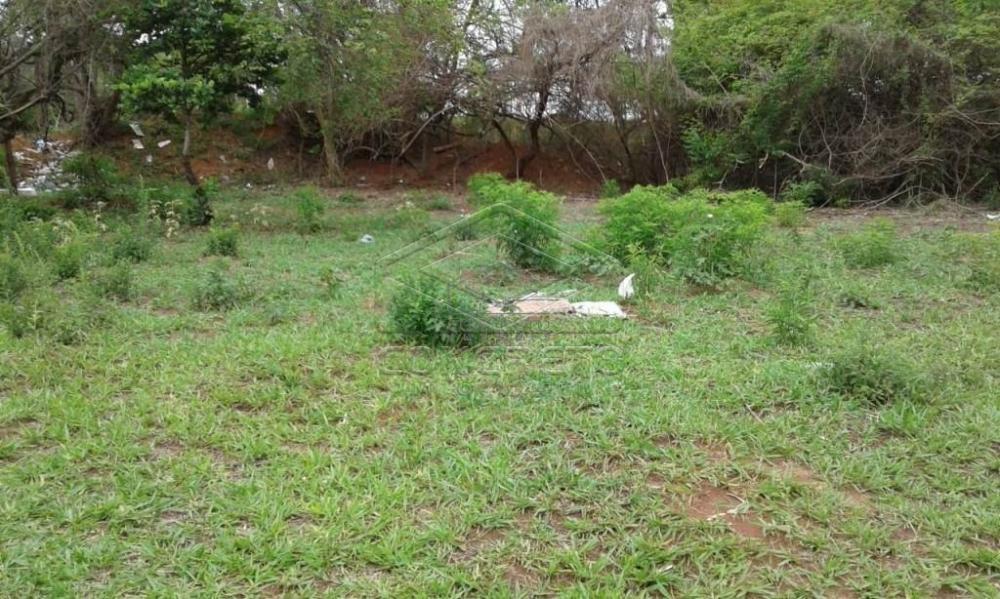 Comprar Terreno / Padr&atilde;o em Bauru R$ 300.000,00 - Foto 12