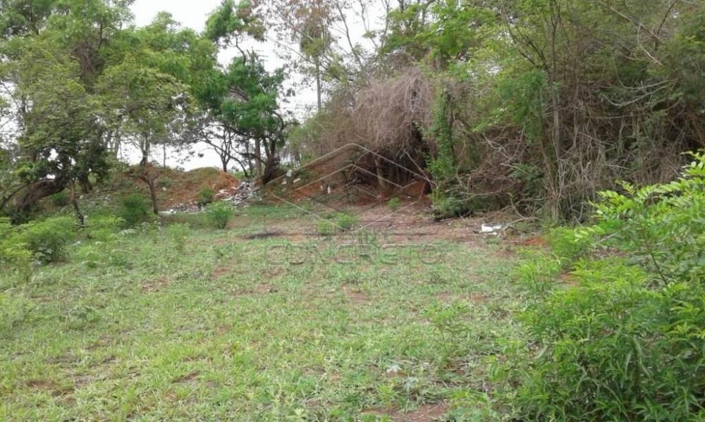 Comprar Terreno / Padr&atilde;o em Bauru R$ 300.000,00 - Foto 8