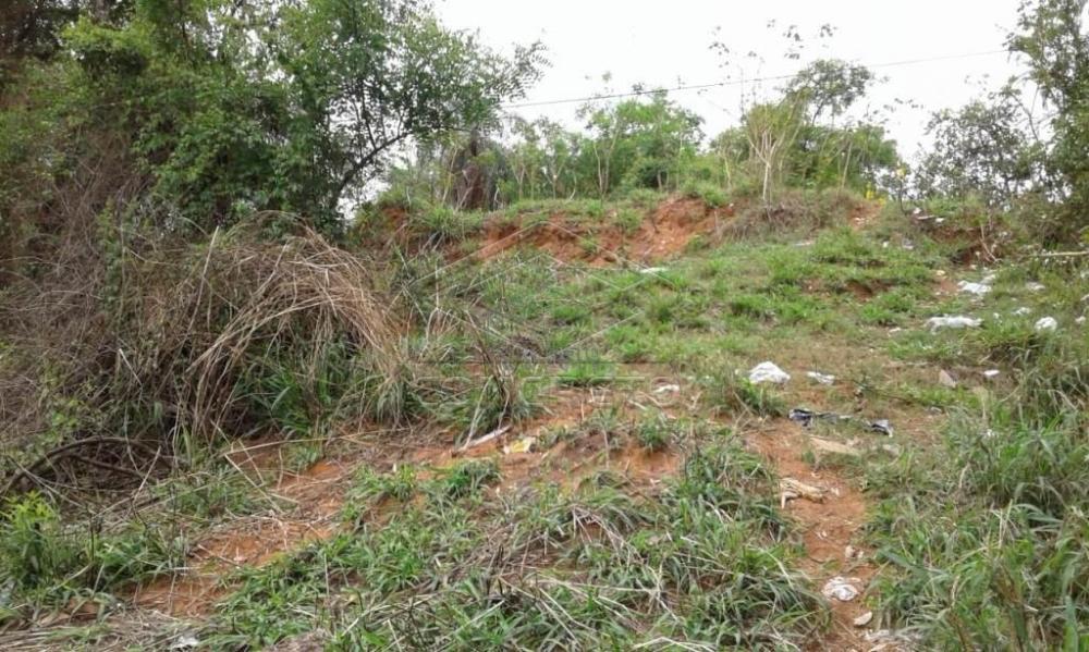 Comprar Terreno / Padr&atilde;o em Bauru R$ 300.000,00 - Foto 19