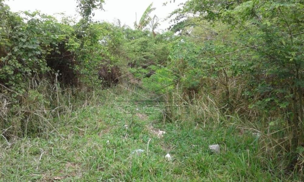 Comprar Terreno / Padr&atilde;o em Bauru R$ 300.000,00 - Foto 27