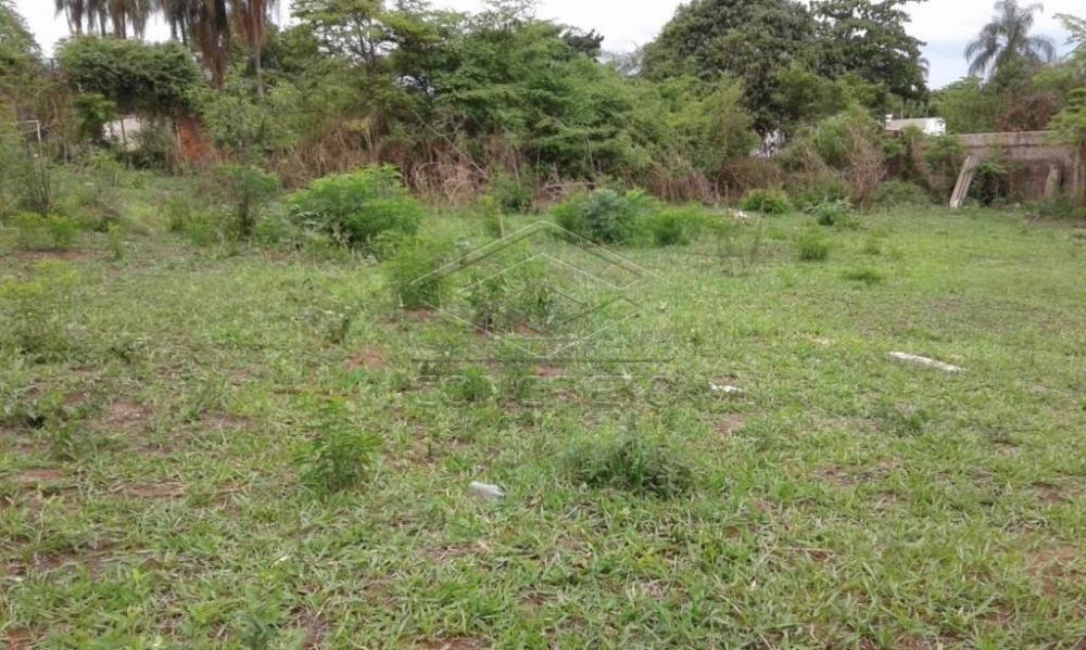 Comprar Terreno / Padr&atilde;o em Bauru R$ 300.000,00 - Foto 28
