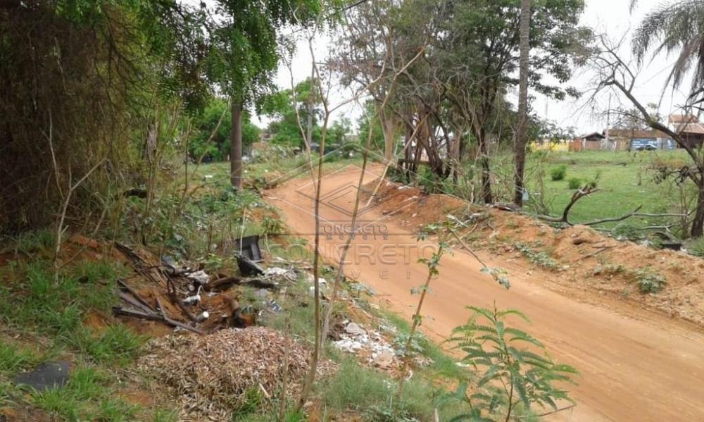 Comprar Terreno / Padr&atilde;o em Bauru R$ 300.000,00 - Foto 31