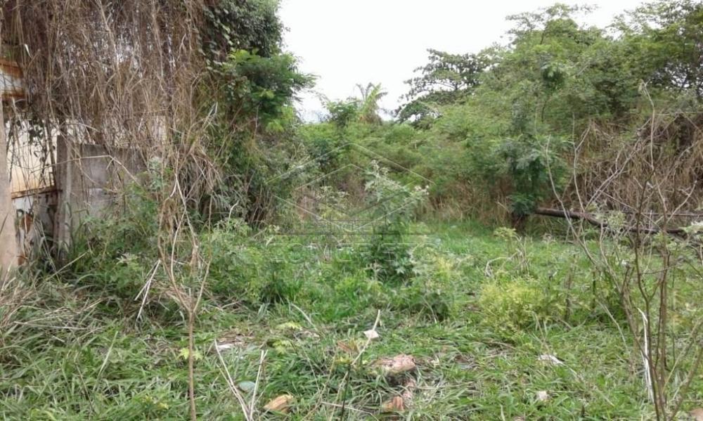 Comprar Terreno / Padr&atilde;o em Bauru R$ 300.000,00 - Foto 38