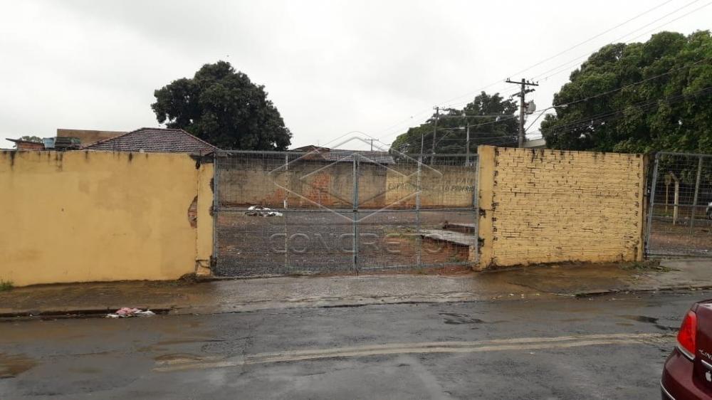 Alugar Terreno / Padr&atilde;o em Bauru R$ 3.900,00 - Foto 3