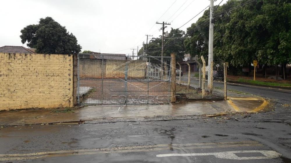 Alugar Terreno / Padr&atilde;o em Bauru R$ 3.900,00 - Foto 5