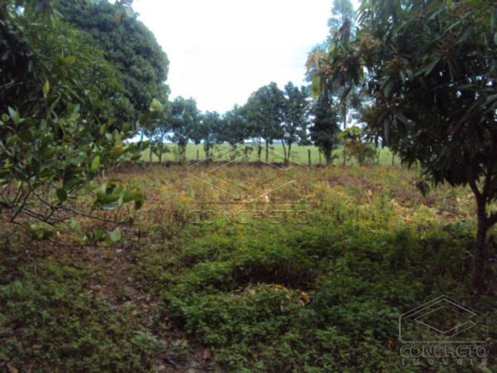 Comprar Rural / Ch&aacute;caraFazenda em Len&ccedil;&oacute;is Paulista R$ 400.000,00 - Foto 5