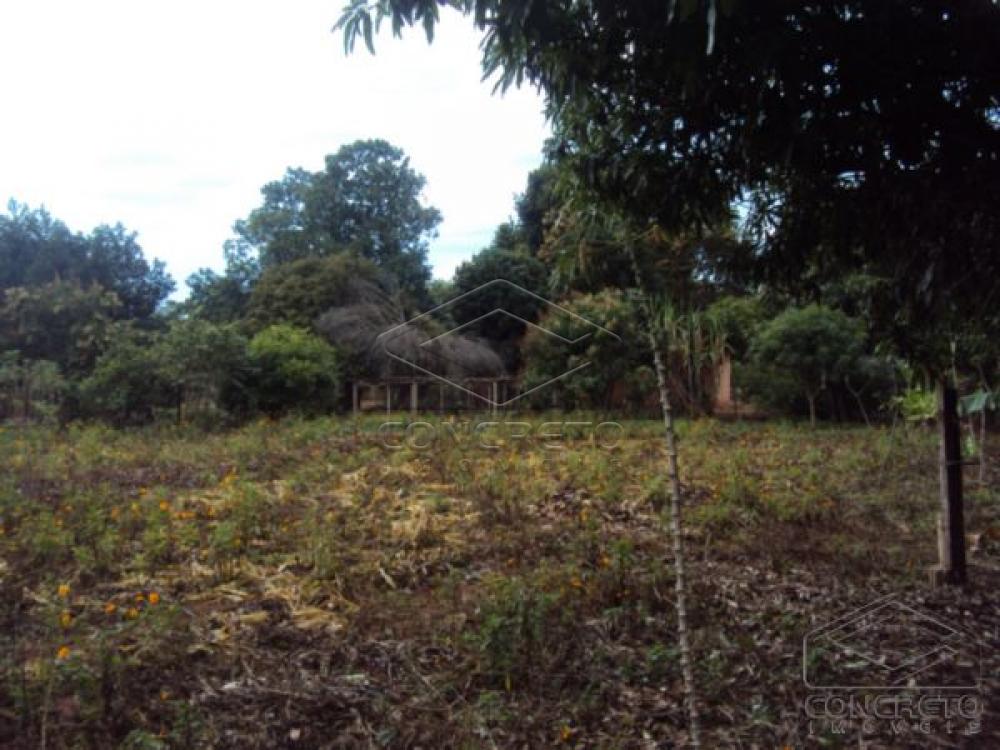 Comprar Rural / Ch&aacute;caraFazenda em Len&ccedil;&oacute;is Paulista R$ 400.000,00 - Foto 6