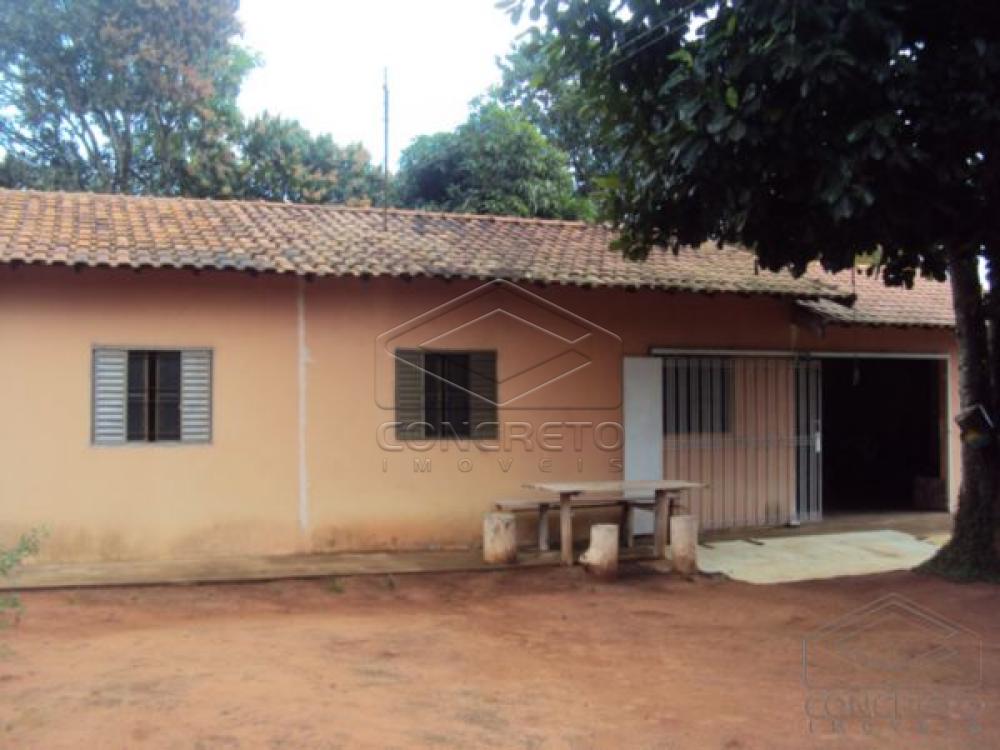 Comprar Rural / Ch&aacute;caraFazenda em Len&ccedil;&oacute;is Paulista R$ 400.000,00 - Foto 18