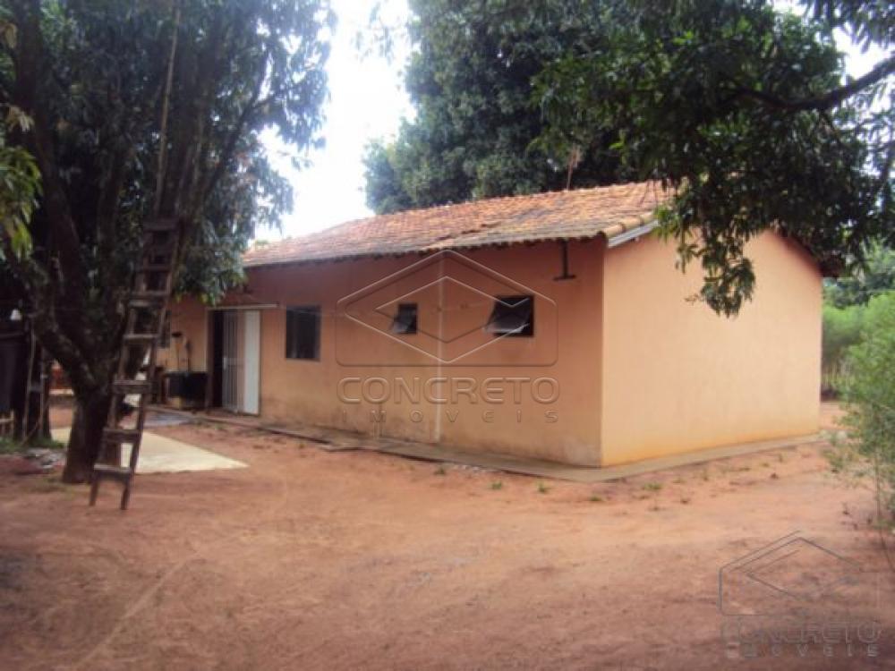 Comprar Rural / Ch&aacute;caraFazenda em Len&ccedil;&oacute;is Paulista R$ 400.000,00 - Foto 19
