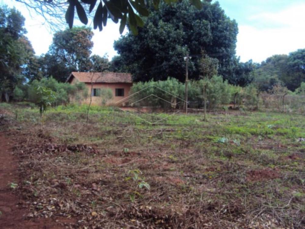 Comprar Rural / Ch&aacute;caraFazenda em Len&ccedil;&oacute;is Paulista R$ 400.000,00 - Foto 20