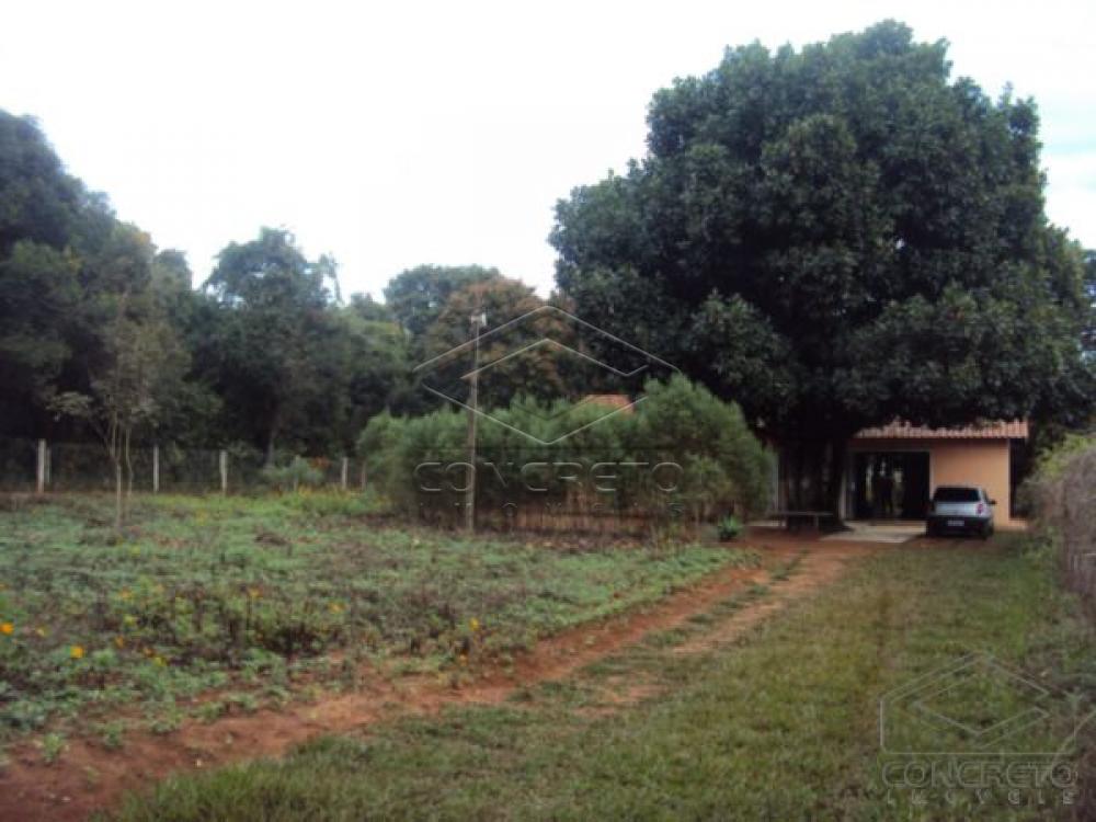 Comprar Rural / Ch&aacute;caraFazenda em Len&ccedil;&oacute;is Paulista R$ 400.000,00 - Foto 21