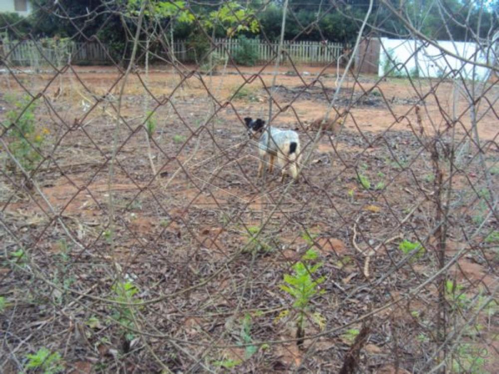 Comprar Rural / Ch&aacute;caraFazenda em Len&ccedil;&oacute;is Paulista R$ 400.000,00 - Foto 22