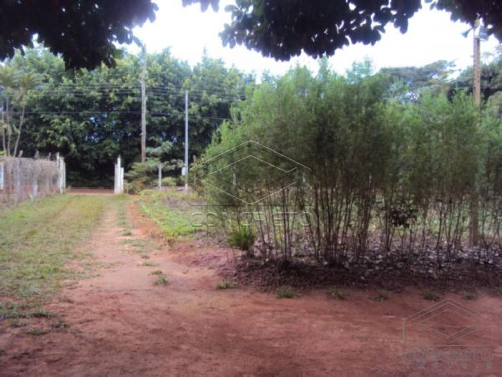 Comprar Rural / Ch&aacute;caraFazenda em Len&ccedil;&oacute;is Paulista R$ 400.000,00 - Foto 24