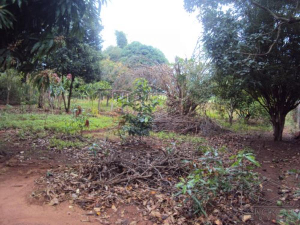 Comprar Rural / Ch&aacute;caraFazenda em Len&ccedil;&oacute;is Paulista R$ 400.000,00 - Foto 26