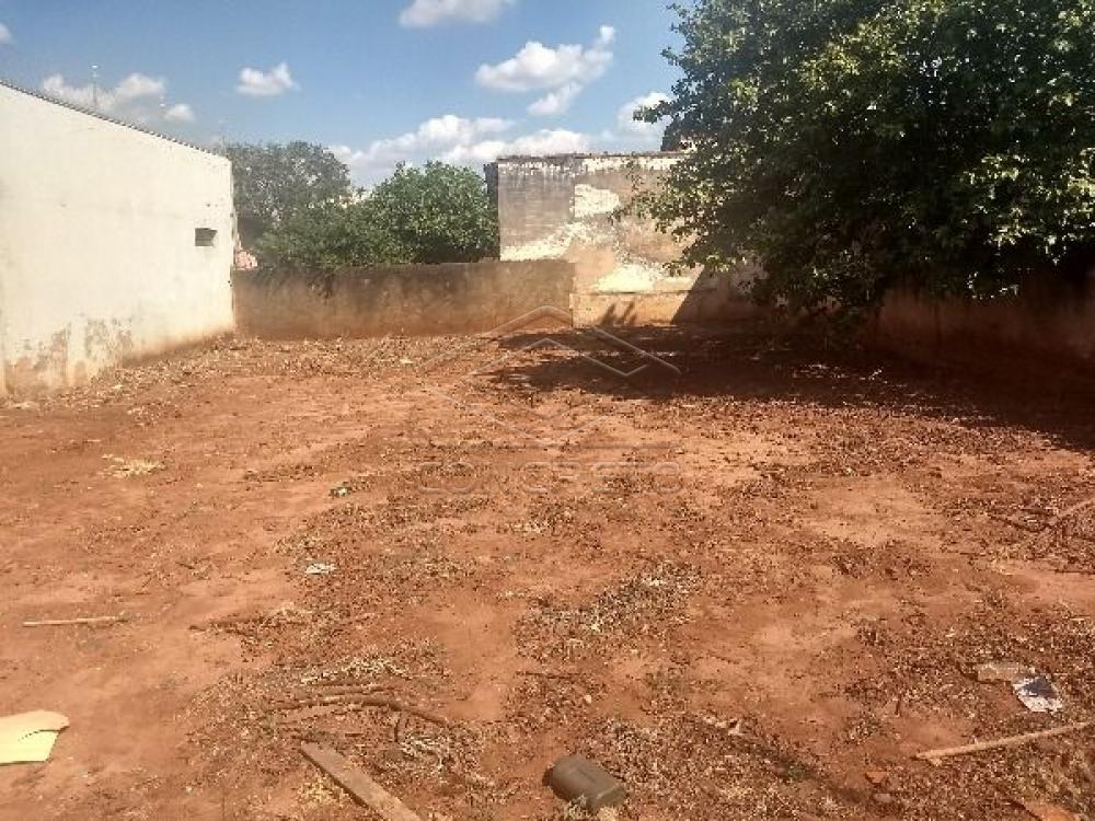 Comprar Terreno / Padr&atilde;o em Len&ccedil;&oacute;is Paulista R$ 210.000,00 - Foto 1