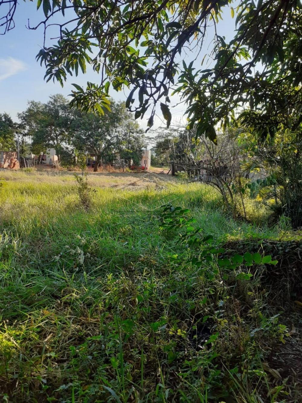 Comprar Terreno / Padr&atilde;o em Bauru R$ 360.000,00 - Foto 6